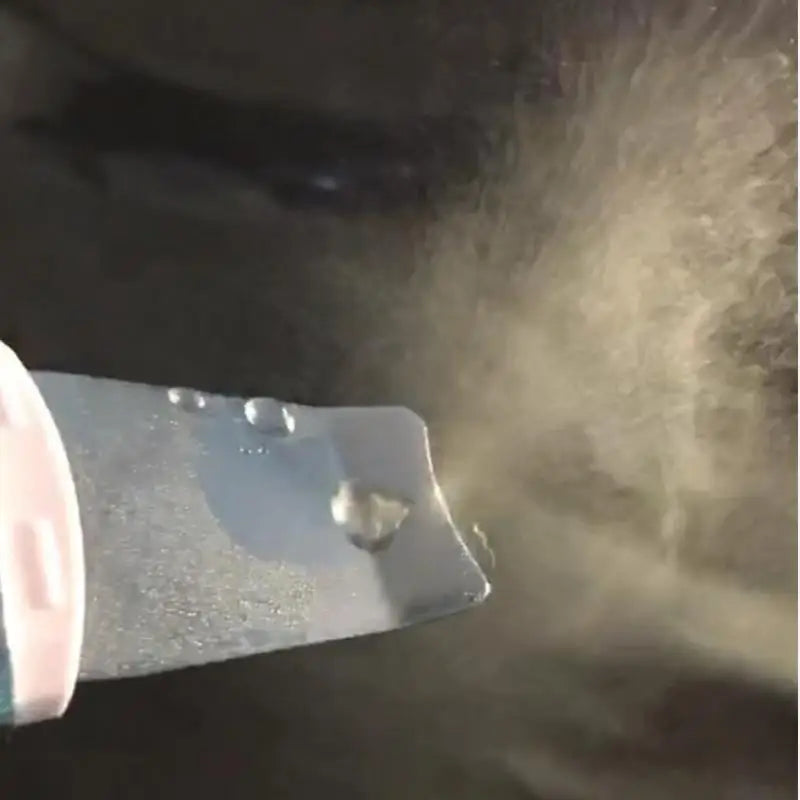 The BloomGlow Ultrasonic Skin Scrubber